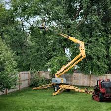 Best Seasonal Cleanup (Spring/Fall)  in East Renton Highlands, WA
