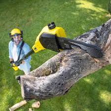 Best Aeration Services  in East Renton Highlands, WA