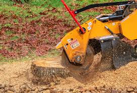  East Renton Highlands, WA Tree Services Pros